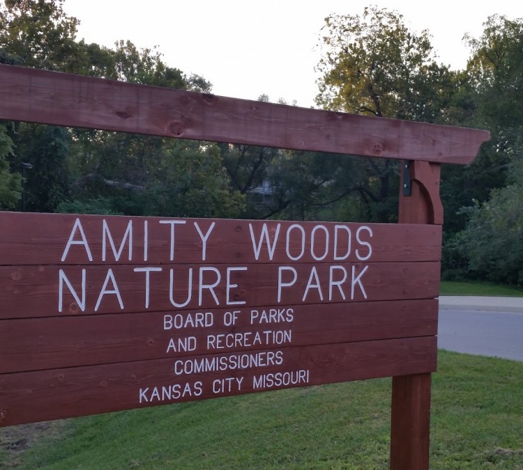 amity-woods-nature-park-photo